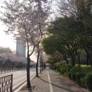 파주시립중앙도서관 이미지