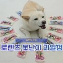 비트덴탈 | 강아지 덴탈껌, 양치 싫어하는 아이를 위한 로렌츠 과일껌