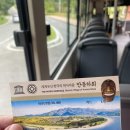 참다래우리옷 이미지