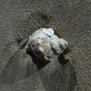 개미촌펜션 이미지