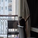 유한회사 제이마트 | [6살 아이와 세부 여행] 세부여행 셋째날(제이파크 물놀이 시터 알로하 이모 청담막탄점)