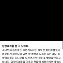 송담 이미지