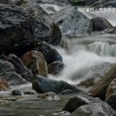 백정애건강실버타운 이미지