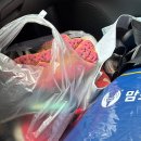 깨끗한운동화빨래방 | [원주 빨래방] 큰 세탁물부터 운동화까지 한번에 가능한 맘스핸즈 셀프빨래방 명륜점