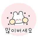 메콩강 PHO 이미지