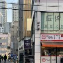 테이스팅독 | 퍼플독 송파 와인테이스팅 이색 클래스 후기