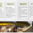 선농살림