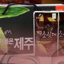 제주느낌 이미지