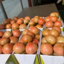 동팔이네 이미지