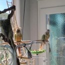 오석헌동물병원 이미지