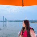 장미대교 교통섬 | 반포한강공원 반포대교 달빛 무지개분수 세빛섬 튜브스터 돗자리