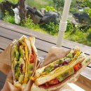 오조숙녀sea 이미지