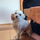 담서제 | 은평한옥마을 한옥스테이 담서제