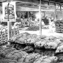 인일상회 | 제5장 곡물수출과 방곡령, 방곡령 실시의 사례와 원인/제2권 개항 이후 일제의 침략