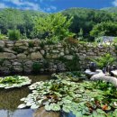 배내골 하늘지기 수영장펜션 이미지