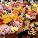 영신꽃화원 이미지