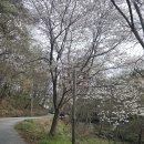 산성공원(좁은목약수터) | 전주시내산 돌아보기 남고산