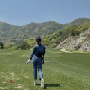 UR(강원특별자치도)-[소주고개로]-상-2 | 클럽모우cc 후기 : 예쁘지만 쉽지 않은 산악형 골프장 (홍천 | 4월 봄 라운드)