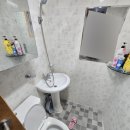 매화골향기 이미지