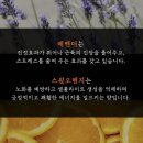 내 몸을 위한 아로마테라피 이미지