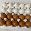 농업회사법인 주식회사 제일 이미지