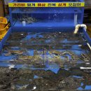 금강회수산 | 청호활어회센터 맛집 주원수산 솔직 후기 속초 가성비 횟집 회포장 추천