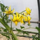 백사농장 이미지