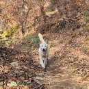 첫 산행과 세번의 총성 이미지