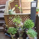 (주)예인 이미지