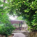 일신유치원 이미지