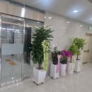 이레의료기 | 강일 정형외과 통증 주사치료_메조플래쉬 통증적은 주사치료 _큐젯(Q-jet)_이레정형외과