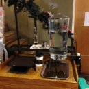 코피티암 이미지