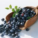 그린 헬스 이미지