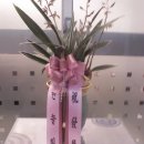 맥시칸치킨점 이미지