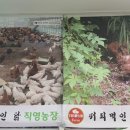 커피먹인닭 농장 이미지