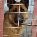 삼흥경로당 이미지