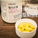 가르시니아 캄보지아 다이어트 후기 헬시드림Y플러스 난 효과가 좋네