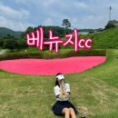 사선7길 5-6 | 핑크벙커가 예쁜 베뉴지cc 저렴하게 다녀온 라운드 후기 (힐코스-지코스)
