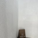 역삼-1289 | 논현속눈썹펌 <프롬미 논현점> 미친 속도! 속눈썹펌 후기