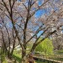 사근공원 이미지