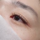 분당 속눈썹 연장 컬이 살아있는 버베인뷰티 내돈내산 후기