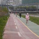 고매천 2 이미지