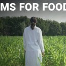 Atoms4Food - 새로운 IAEA-FAO 이니셔티브 발표 이미지