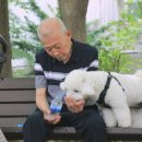 엘리식탁 이미지