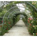 단성면 복지회관 이미지