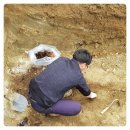 양지-3001 이미지