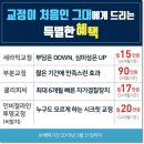 아름다움 채우기