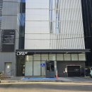 오퍼스407 이미지