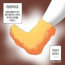 웃줄포경로당 | [디지털 마케터 취업 준비] 도와세움 디마에 67기 3주차 #3 발등튀김