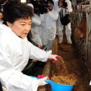 증산한우농장 이미지